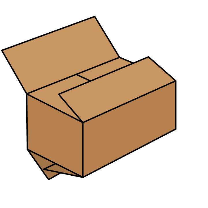 Case 0205